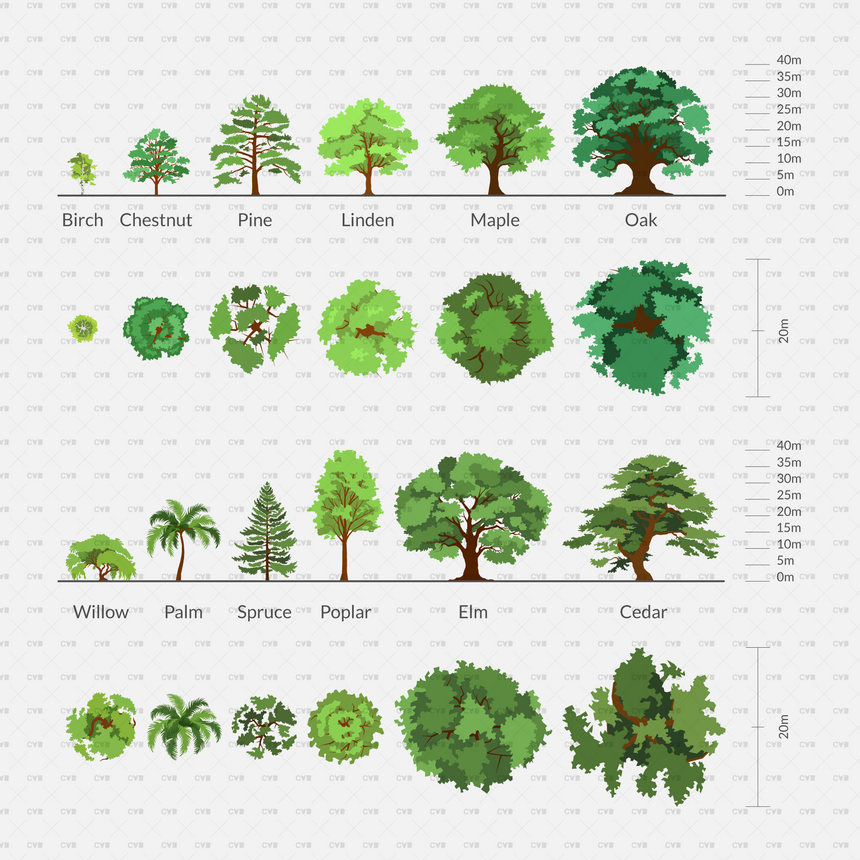 download vector trees