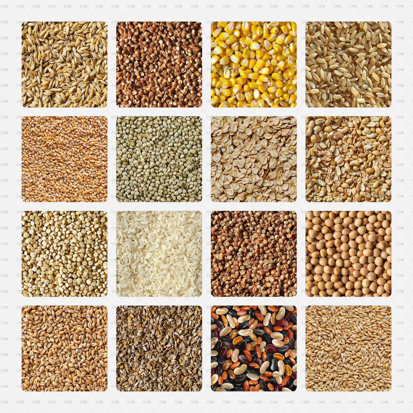 download seamless Groats Textures free