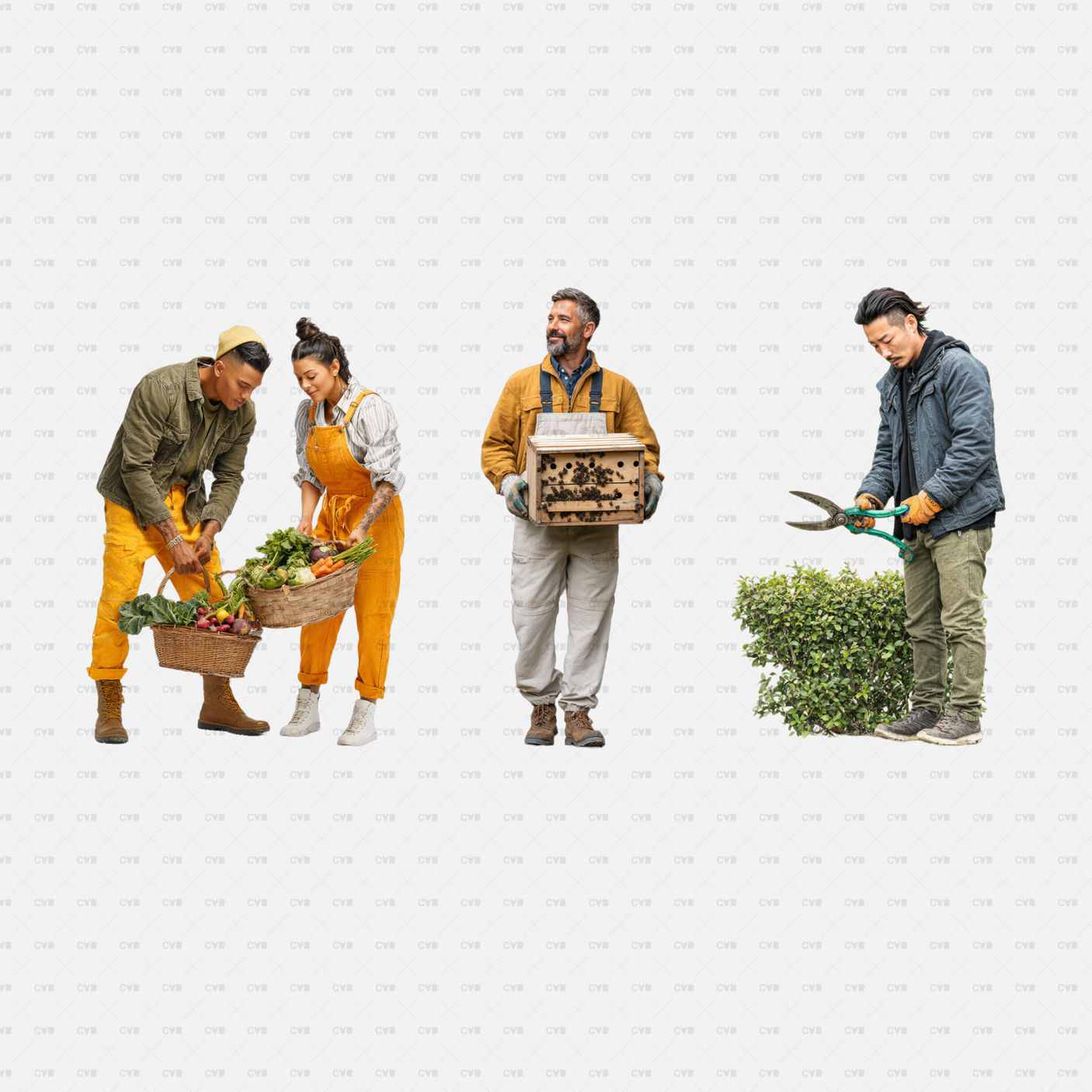 PNG Cutouts People Gardening CADasbuilt Harvesting Vegetables, Beekeeper Carrying Hive, Hedge Trimming