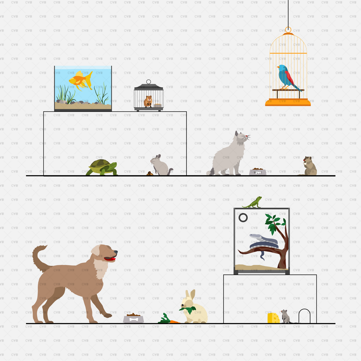 download vector pets animals
