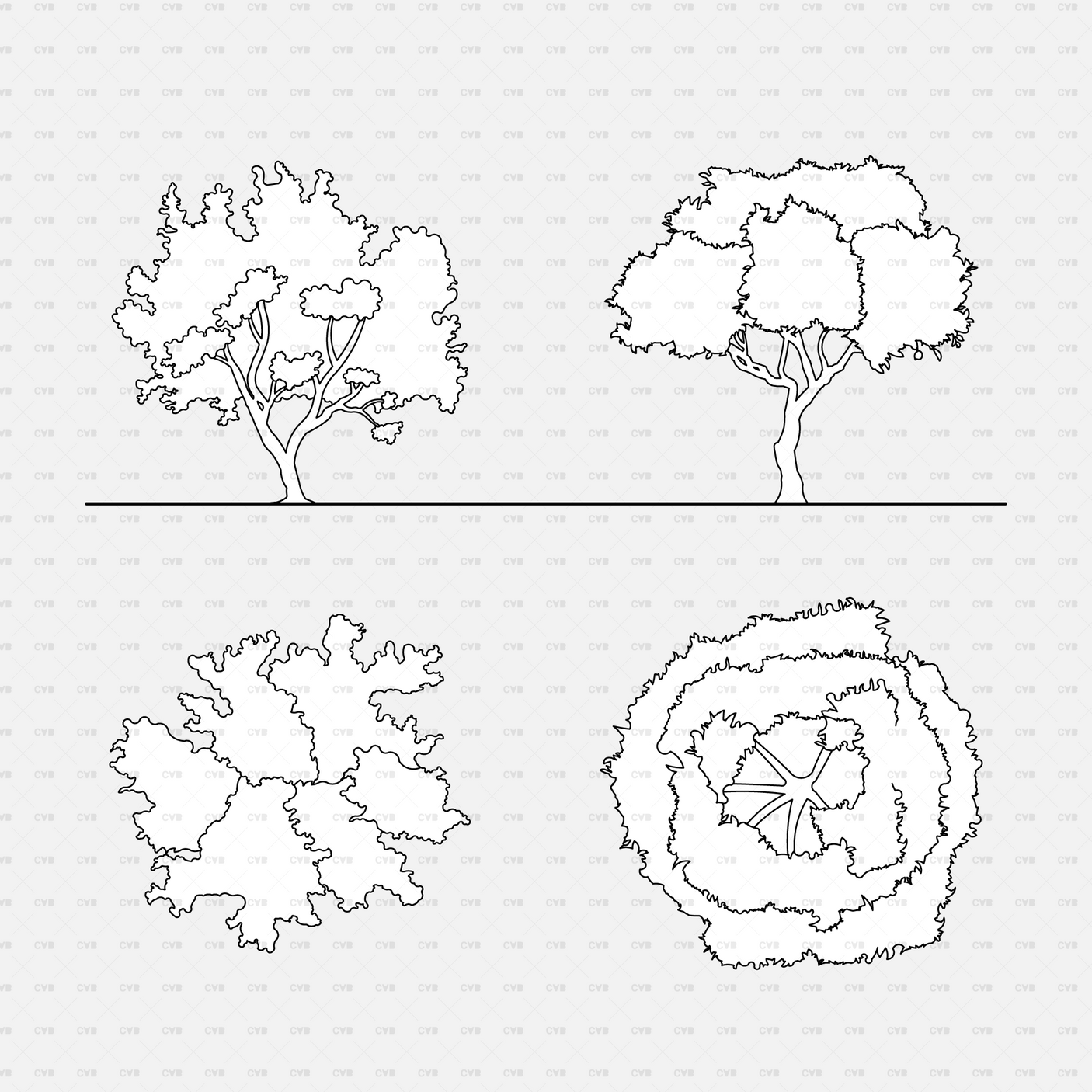 CAD Dynamic blocks southern european trees CADasbuilt BIM Blocks dwg elevation and plan trees; irregular and ringed canopy
