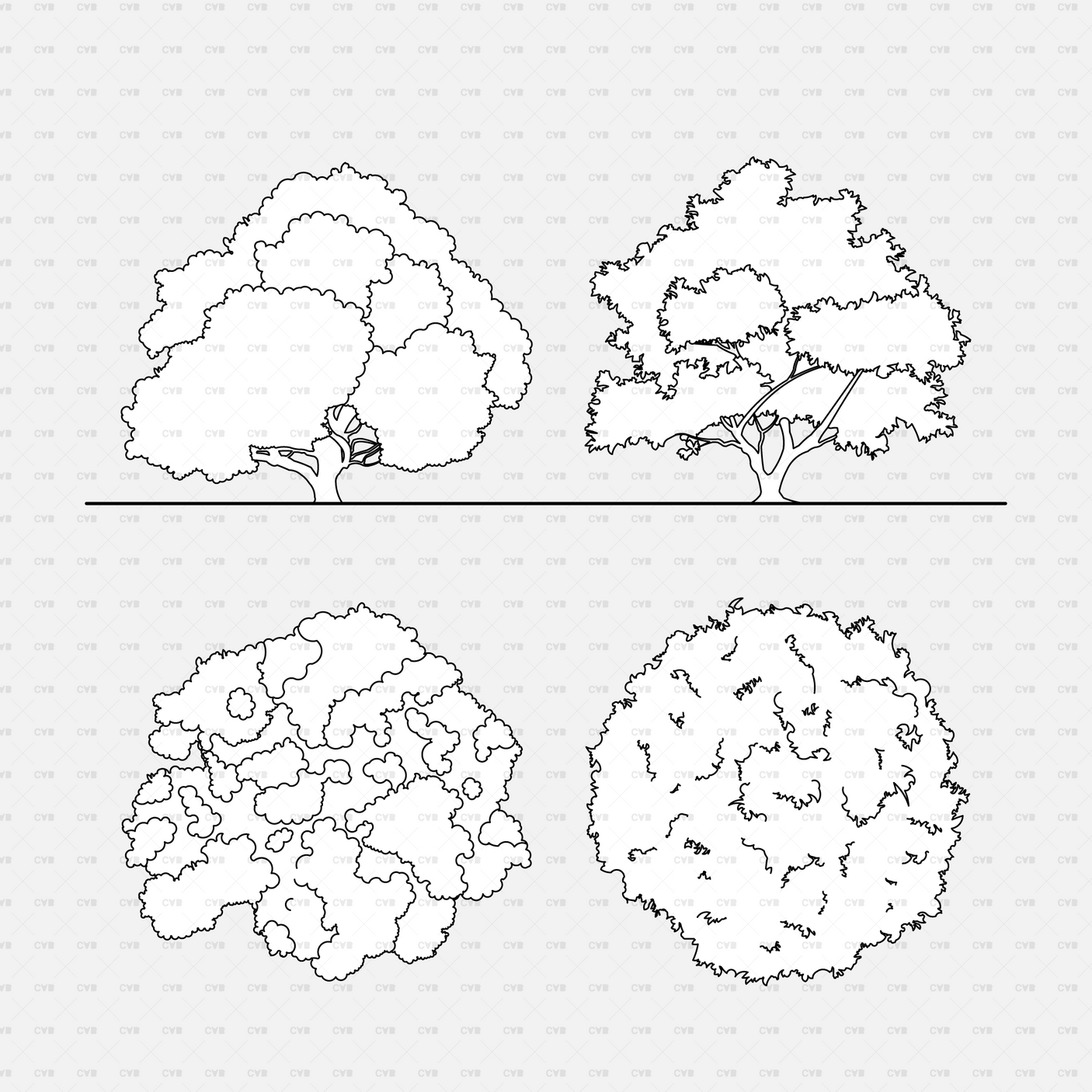 CAD Dynamic blocks southern european trees CADasbuilt BIM Blocks dwg broad canopy elevations with round and dense plan symbols