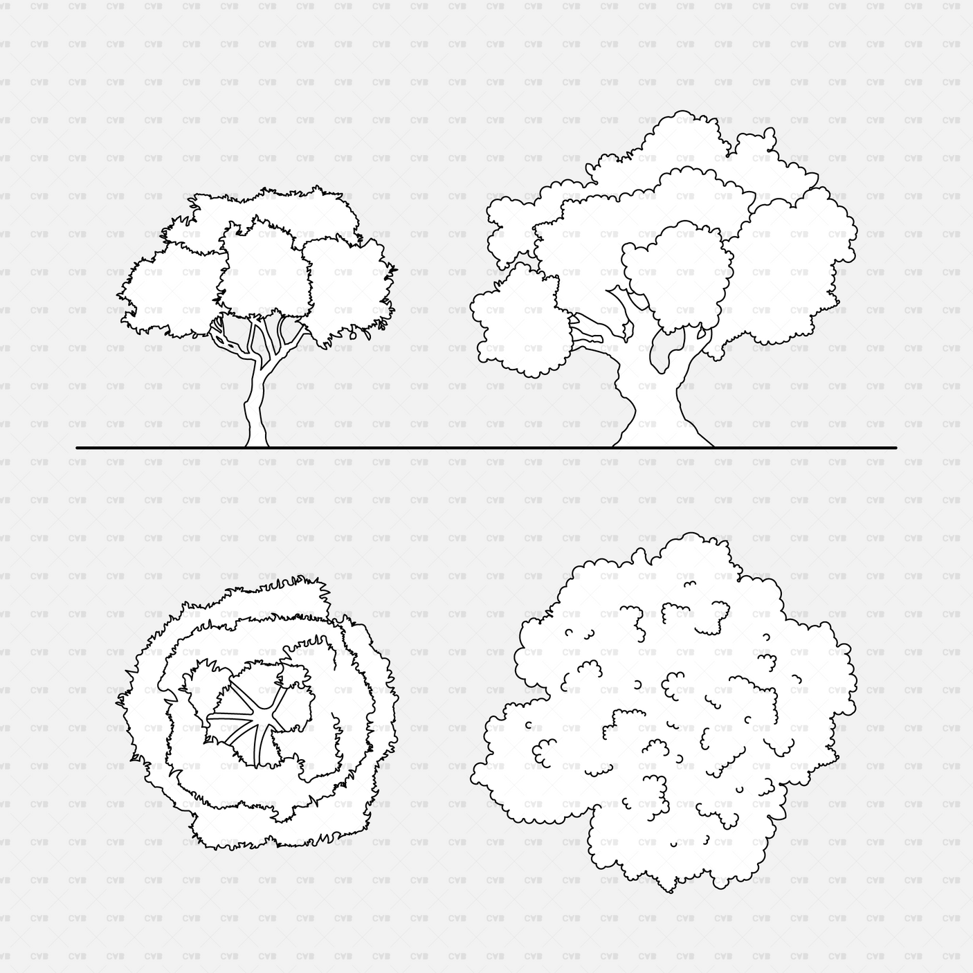 CAD Dynamic blocks southern european trees CADasbuilt BIM Blocks dwg slender & spreading elevations, ringed clustered plans