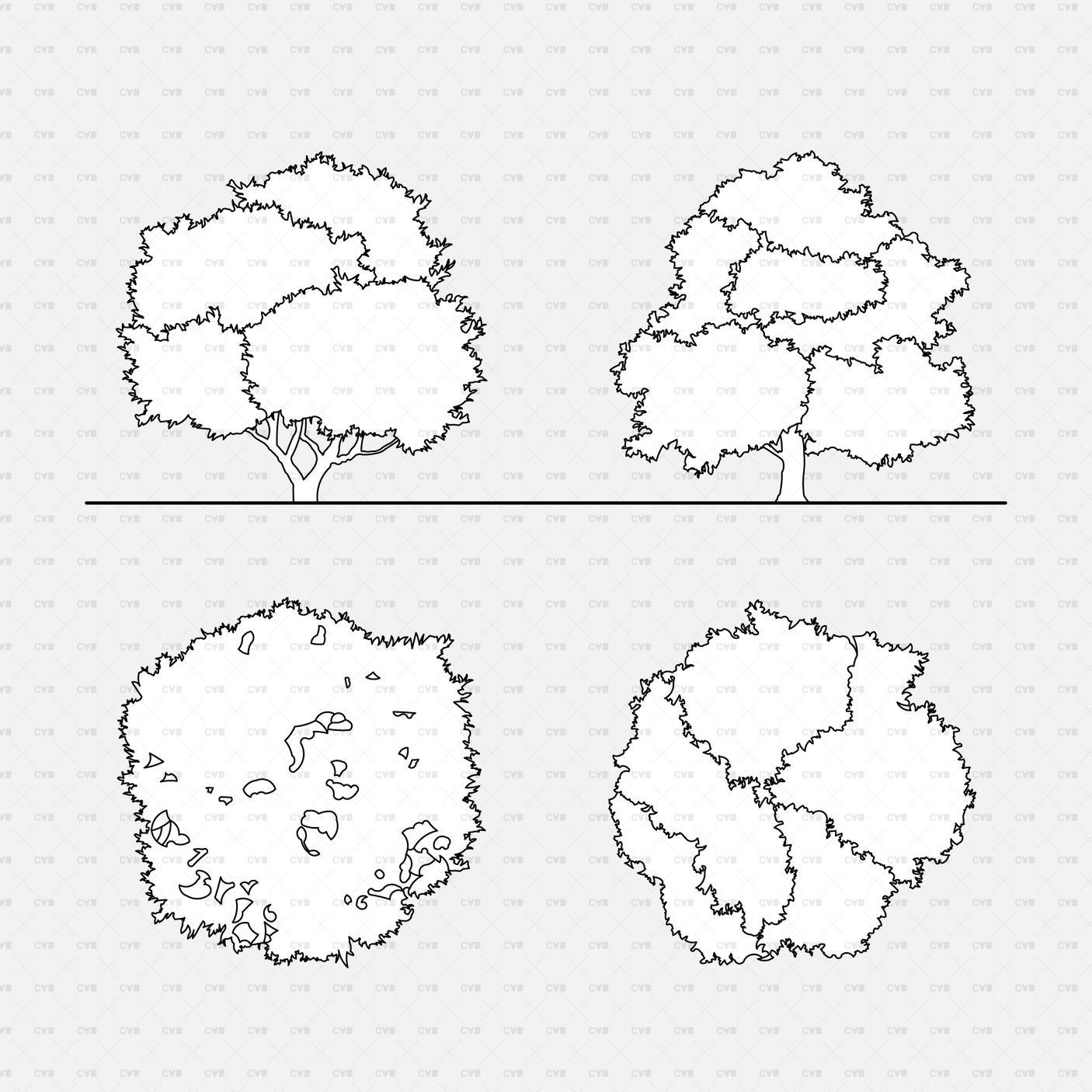 CAD Dynamic blocks southern european trees CADasbuilt BIM Blocks dwg irregular canopy elevations; textured segmented plans