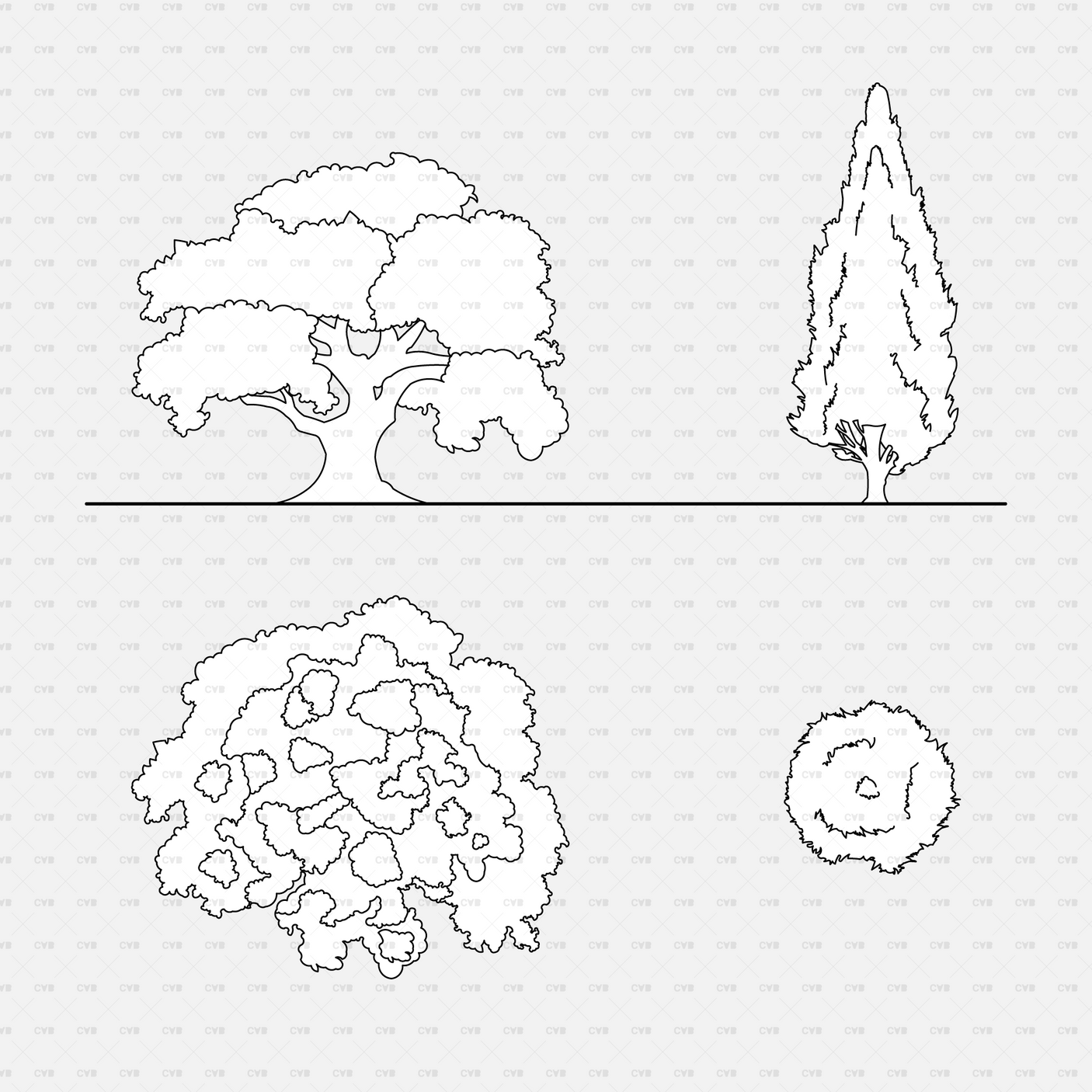 CAD Dynamic blocks southern european trees CADasbuilt BIM Blocks dwg spreading oak and tall cypress elevations; varied plans