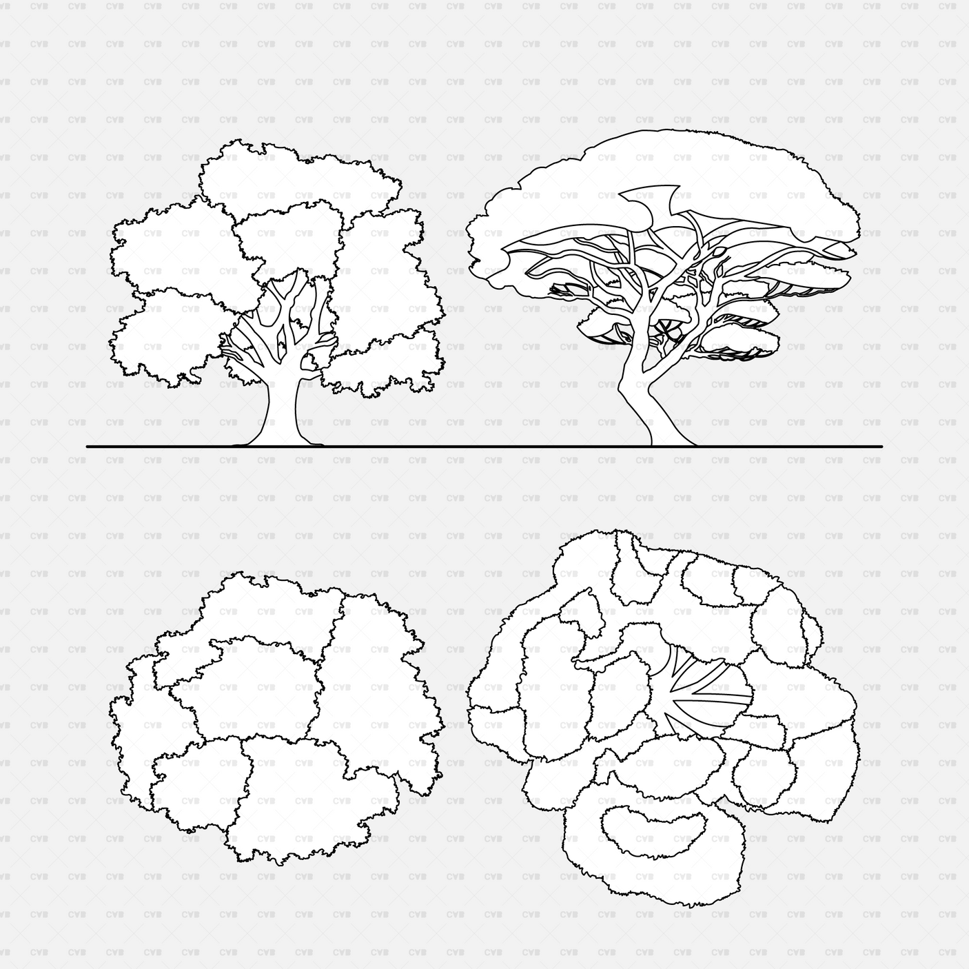 CAD Dynamic blocks southern european trees CADasbuilt BIM Blocks dwg broadleaf & umbrella pine elevations; layered plan icons