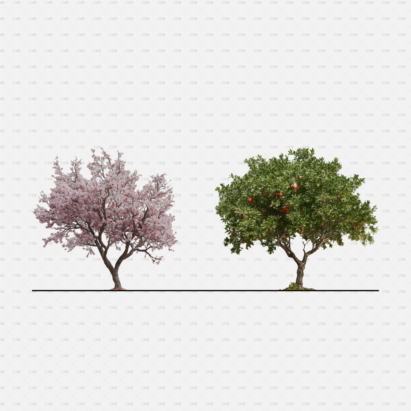 PNG Cutouts Southern European Trees CADasbuilt — Flowering Tree And Fruiting Orchard Tree