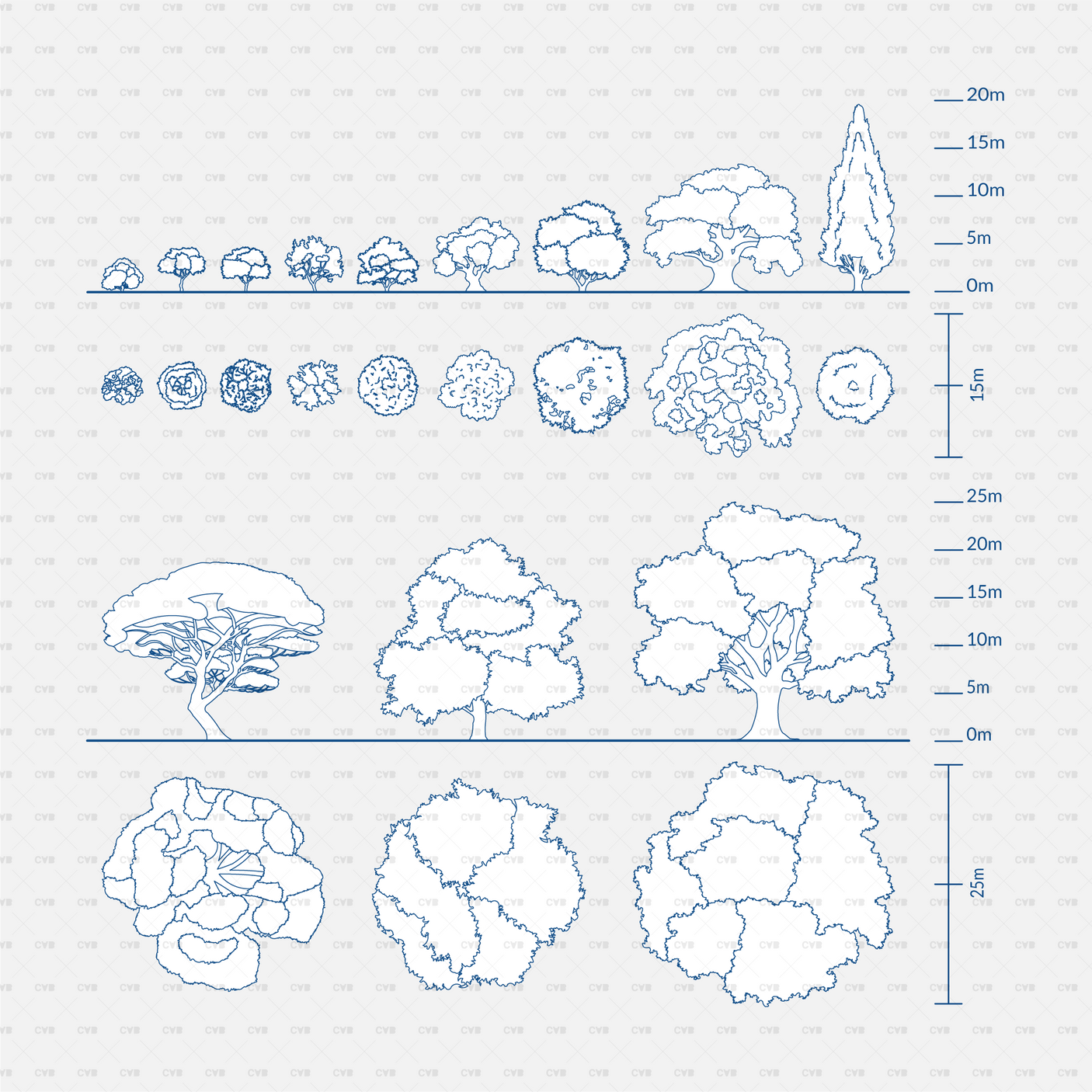 CAD Dynamic blocks southern european trees CADasbuilt BIM Blocks dwg blue sheet of tree elevations and plans with scale bars