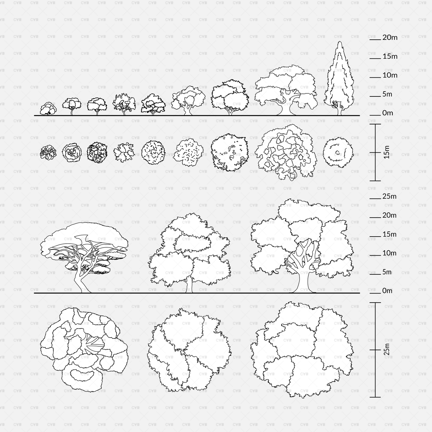 CAD Dynamic blocks southern european trees CADasbuilt BIM Blocks dwg black sheet of tree elevations and plans with scales
