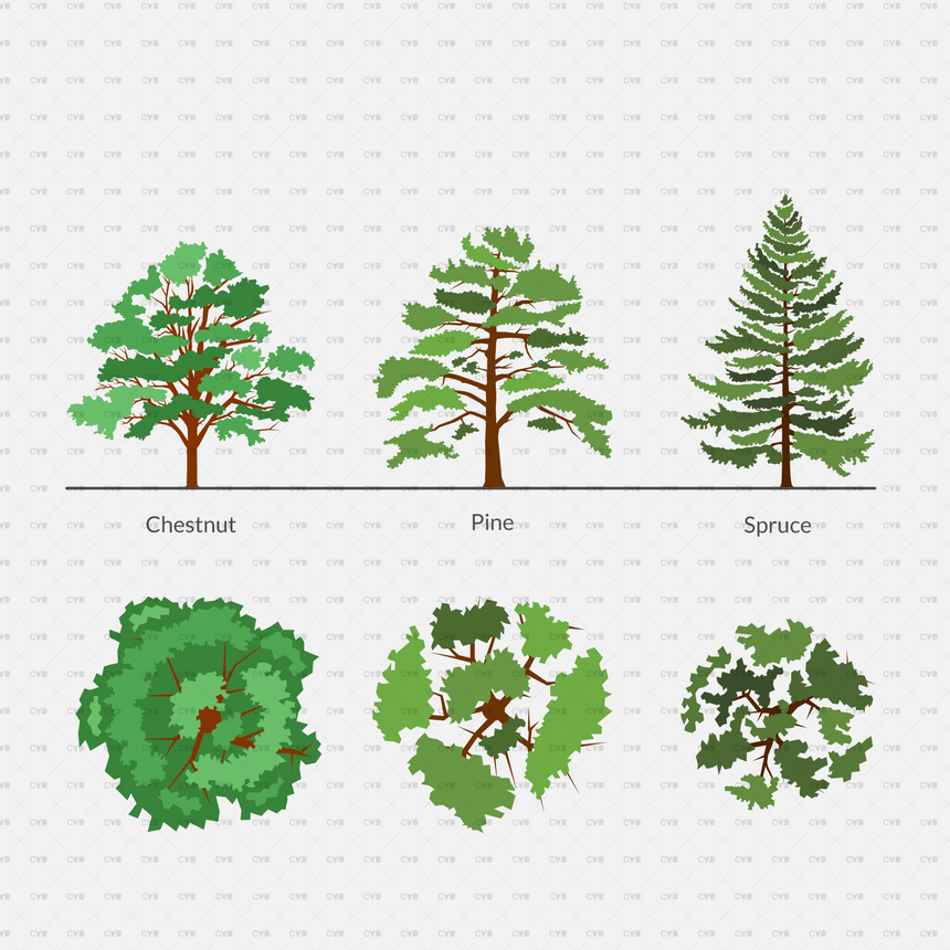 vector trees chestnut pine spruce