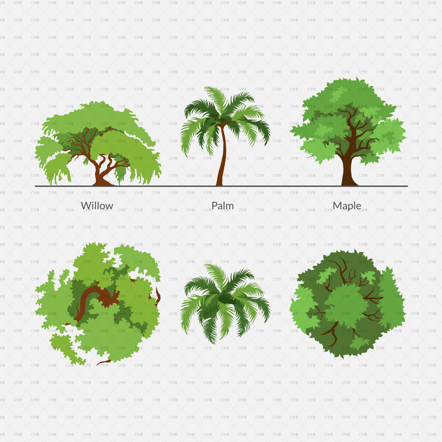 vector trees willow palm willow
