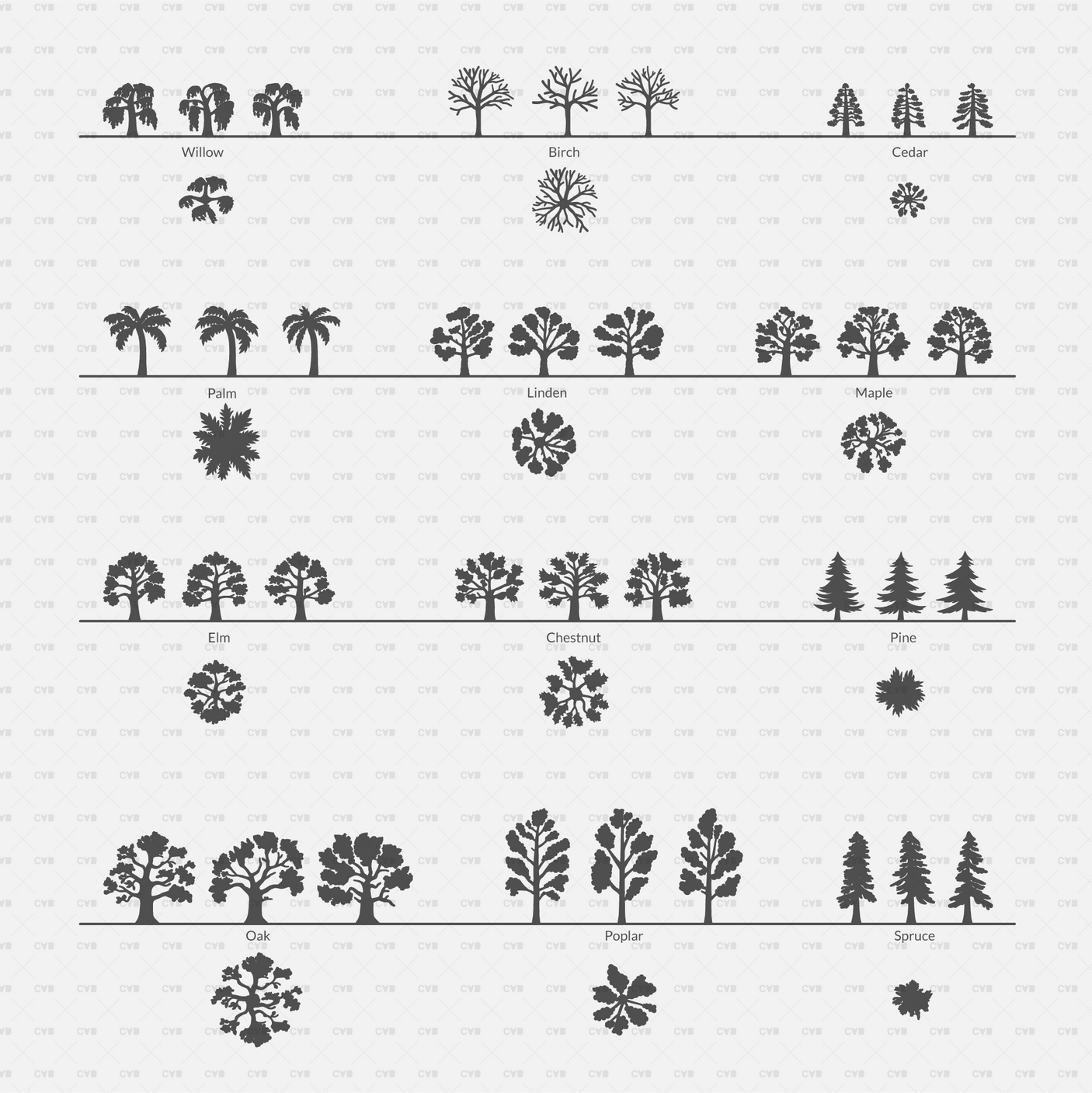 CAD Dynamic Blocks and Vector 12 Common Trees Silhouettes download dwg ai svg elevation top view side front back