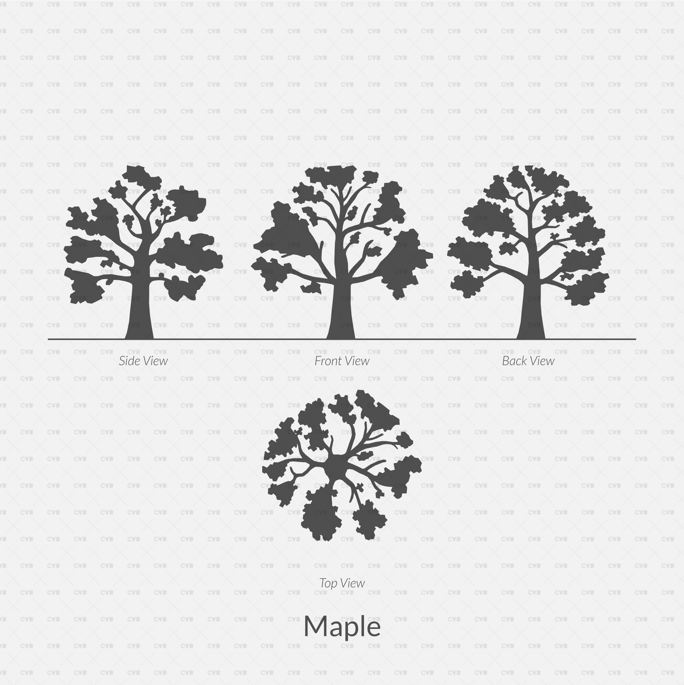 CAD Dynamic Blocks and Vector Common Trees Silhouettes download dwg ai svg elevation top view side front back maple