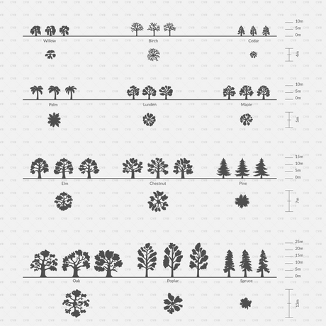 CAD Dynamic Blocks and Vector 12 Common Trees Silhouettes download dwg ai svg elevation top view side front back