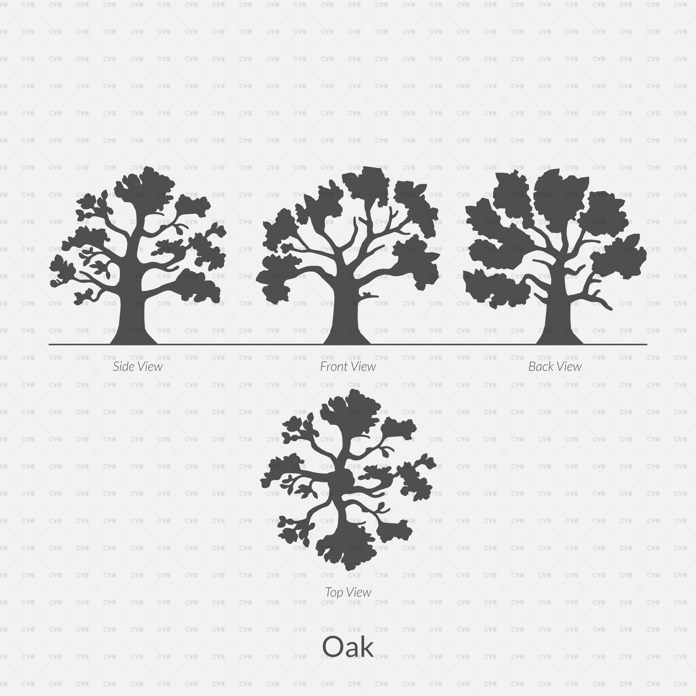 CAD Dynamic Blocks and Vector 12 Common Trees Silhouettes download dwg ai svg elevation top view side front back oak