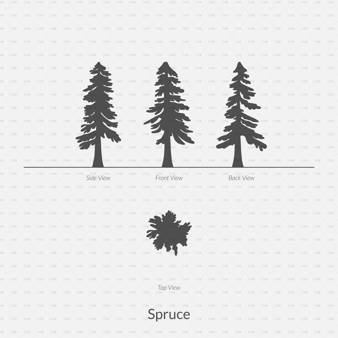 CAD Dynamic Blocks and Vector Common Trees Silhouettes download dwg ai svg elevation top view side front back spruce
