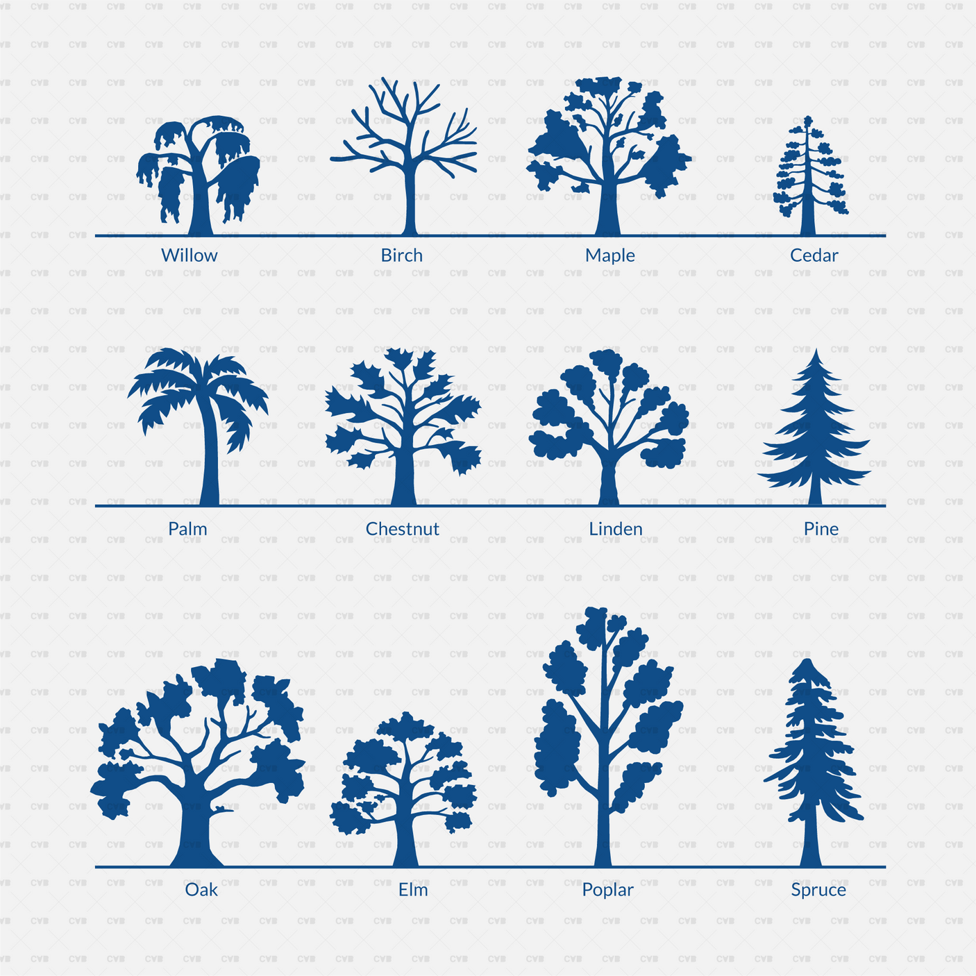 CAD Dynamic Blocks and Vector 12 Common Trees Silhouettes download dwg ai svg