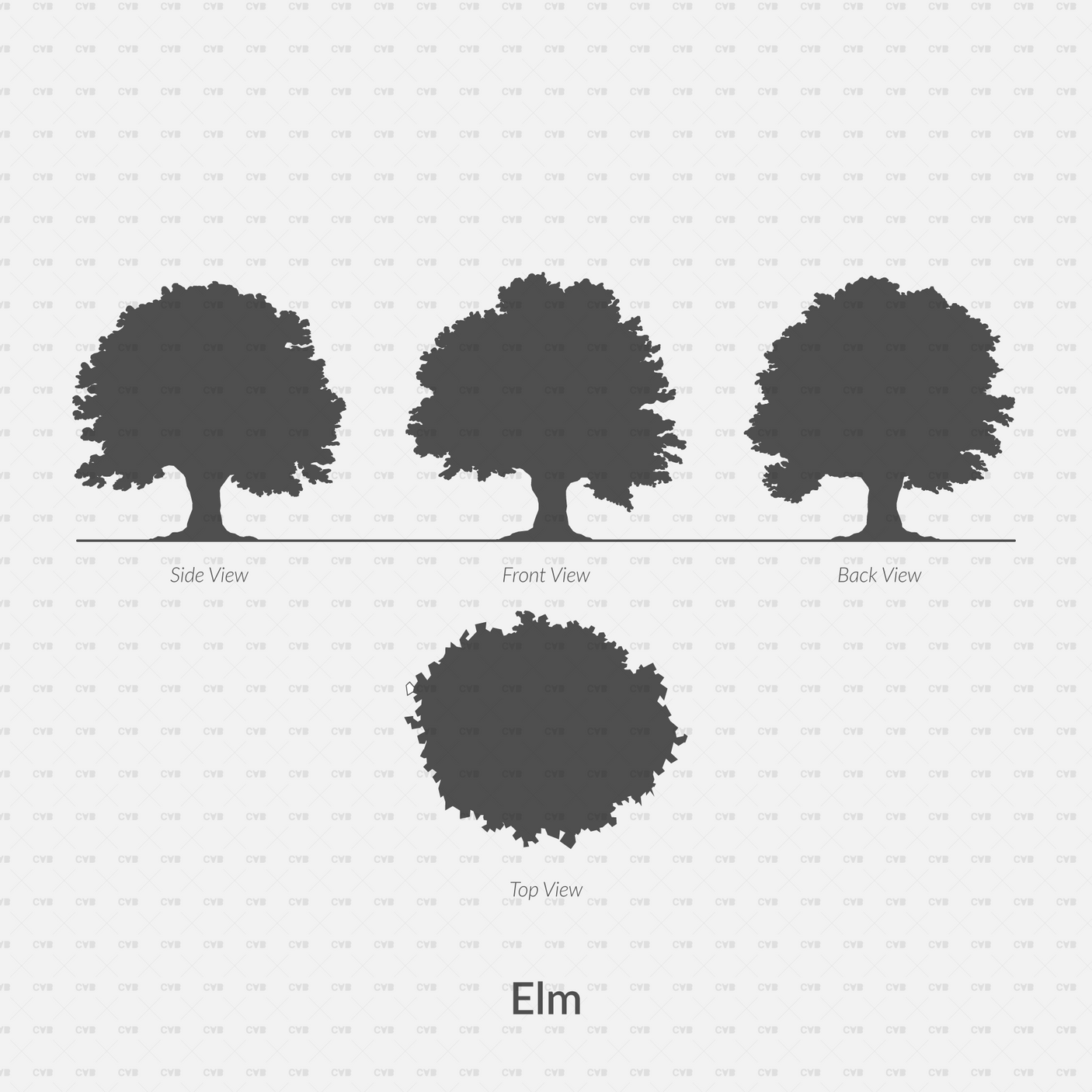 Dynamic CAD Blocks - Trees Silhouettes