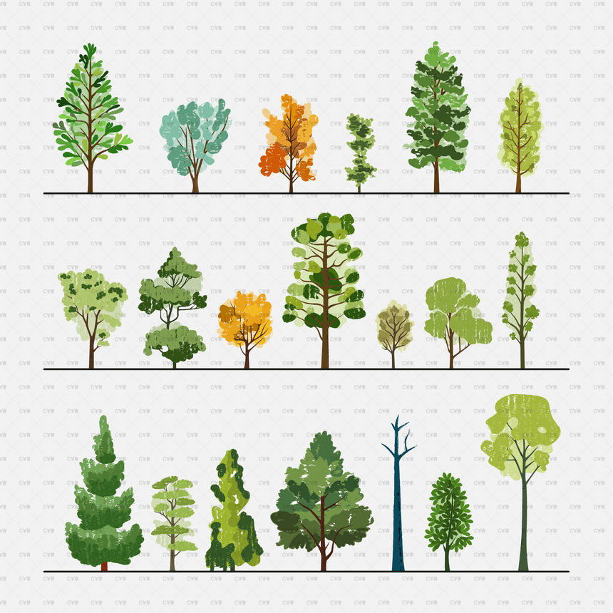 Vector Sketch Trees