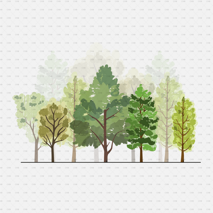Vector Sketch Trees
