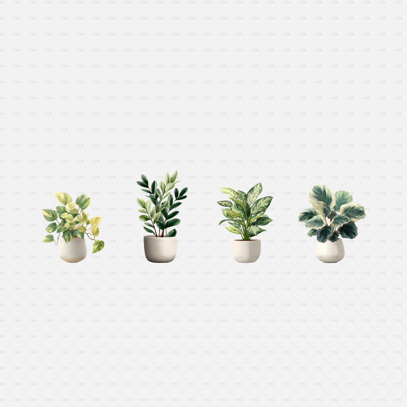 PNG Cutouts - potted plants cadasbuilt AI SVG dwg four small potted plants, pothos, zz, aglaonema and variegated foliage