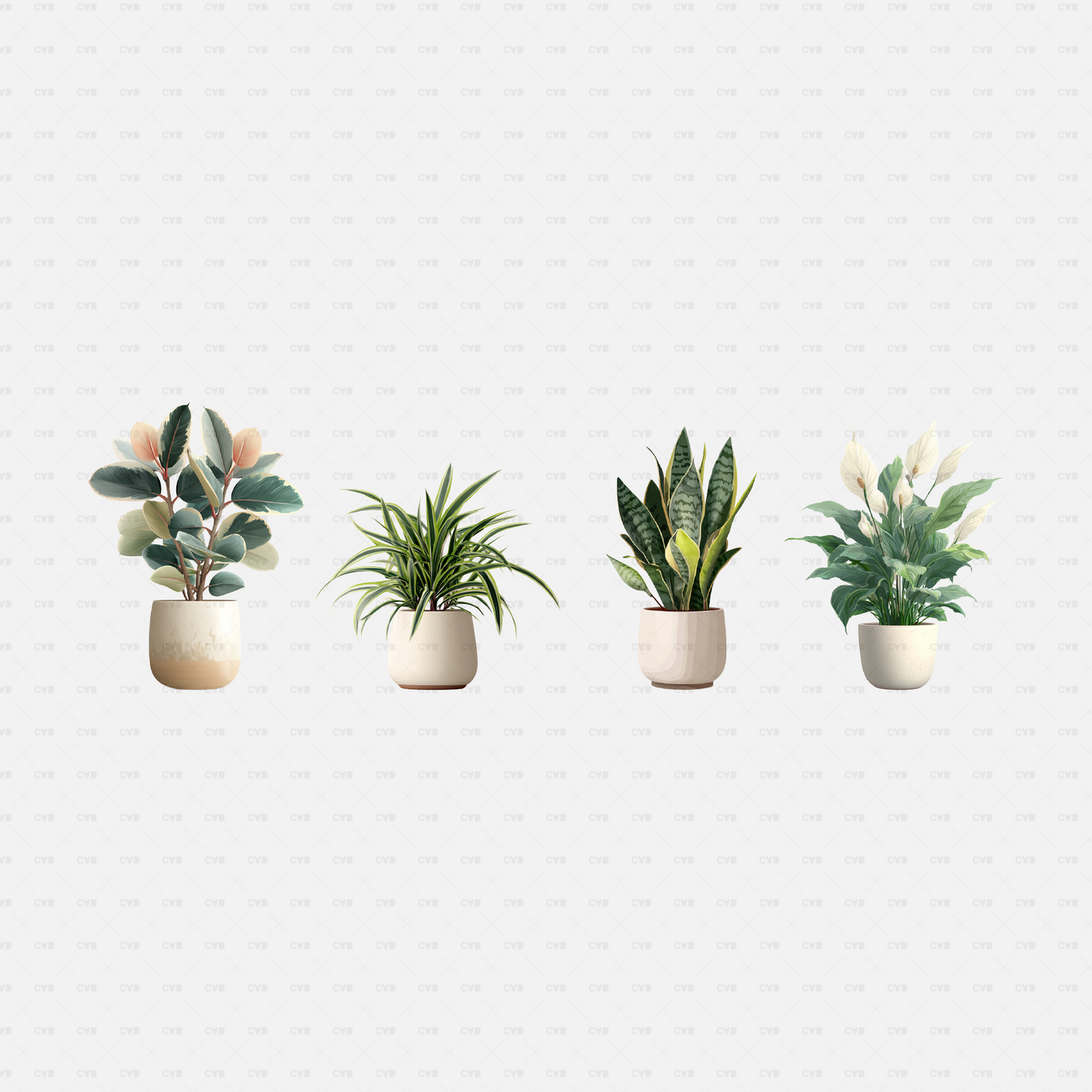 PNG Cutouts - potted plants cadasbuilt AI SVG dwg four potted plants, rubber plant, spider plant, snake plant and peace lily