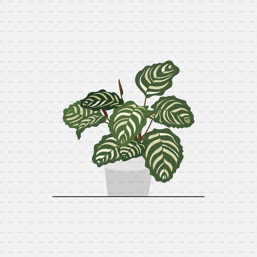 flat vector interior potted plant 