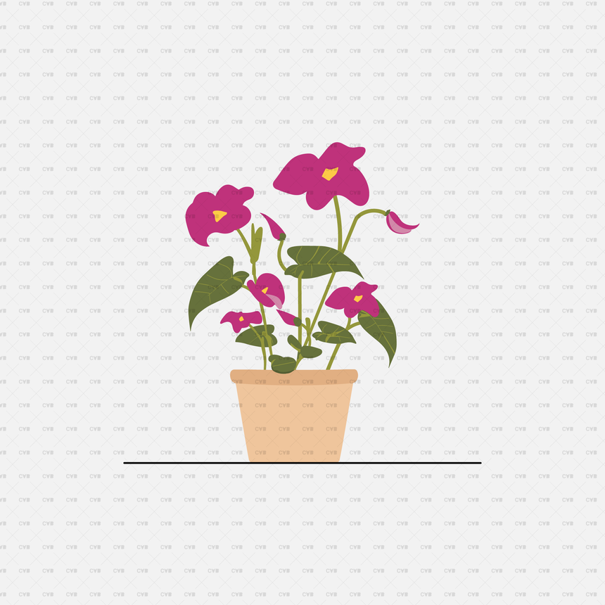 flat vector potted plant PNG