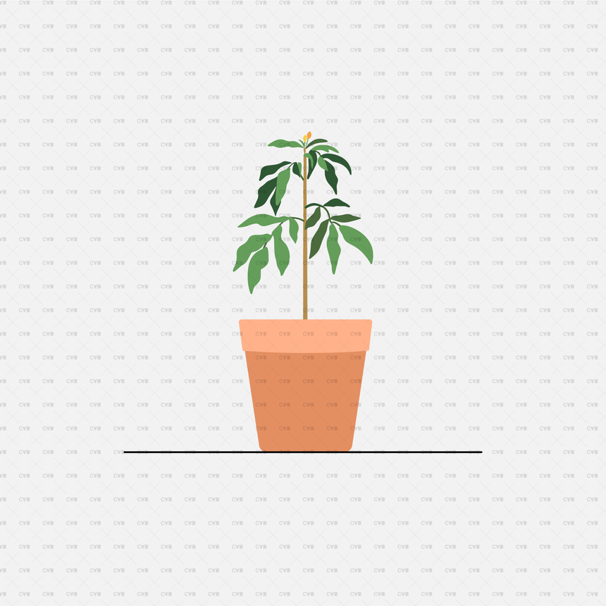 interior plant vector 