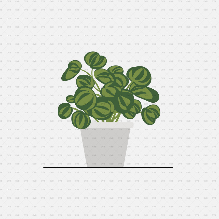 download png potted plant