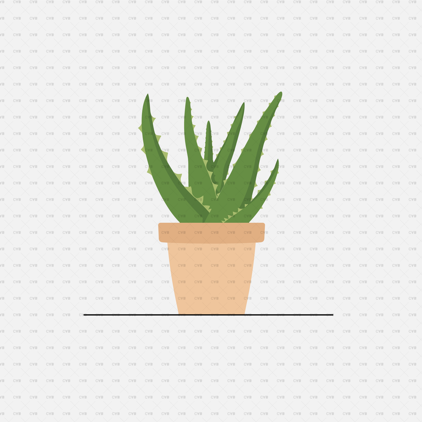 download png potted plant