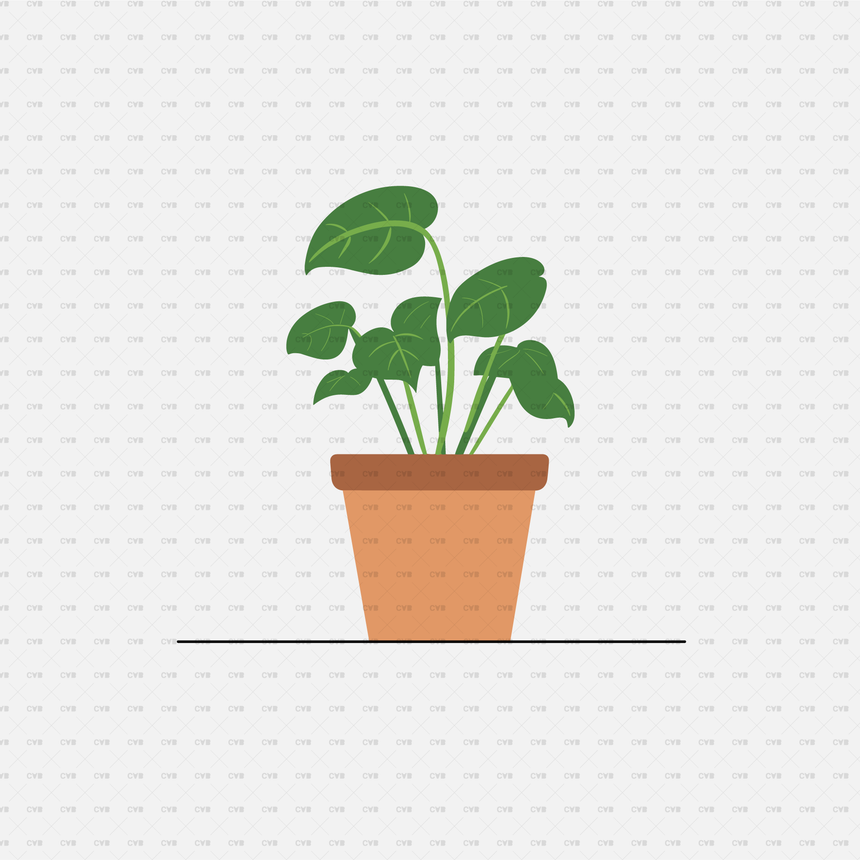 download png potted plant