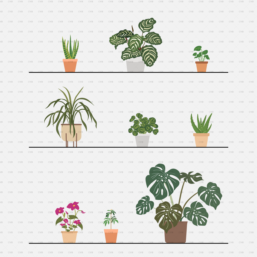 download flat vector potted plant