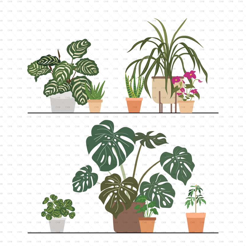 download flat vector potted plants