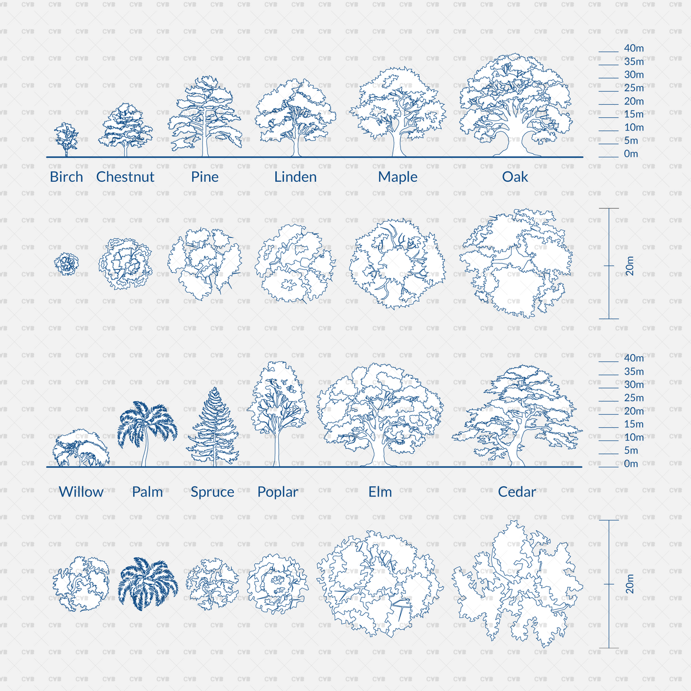 CAD Common Trees