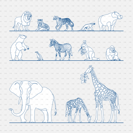 download zoo animals for autocad cad blocks 