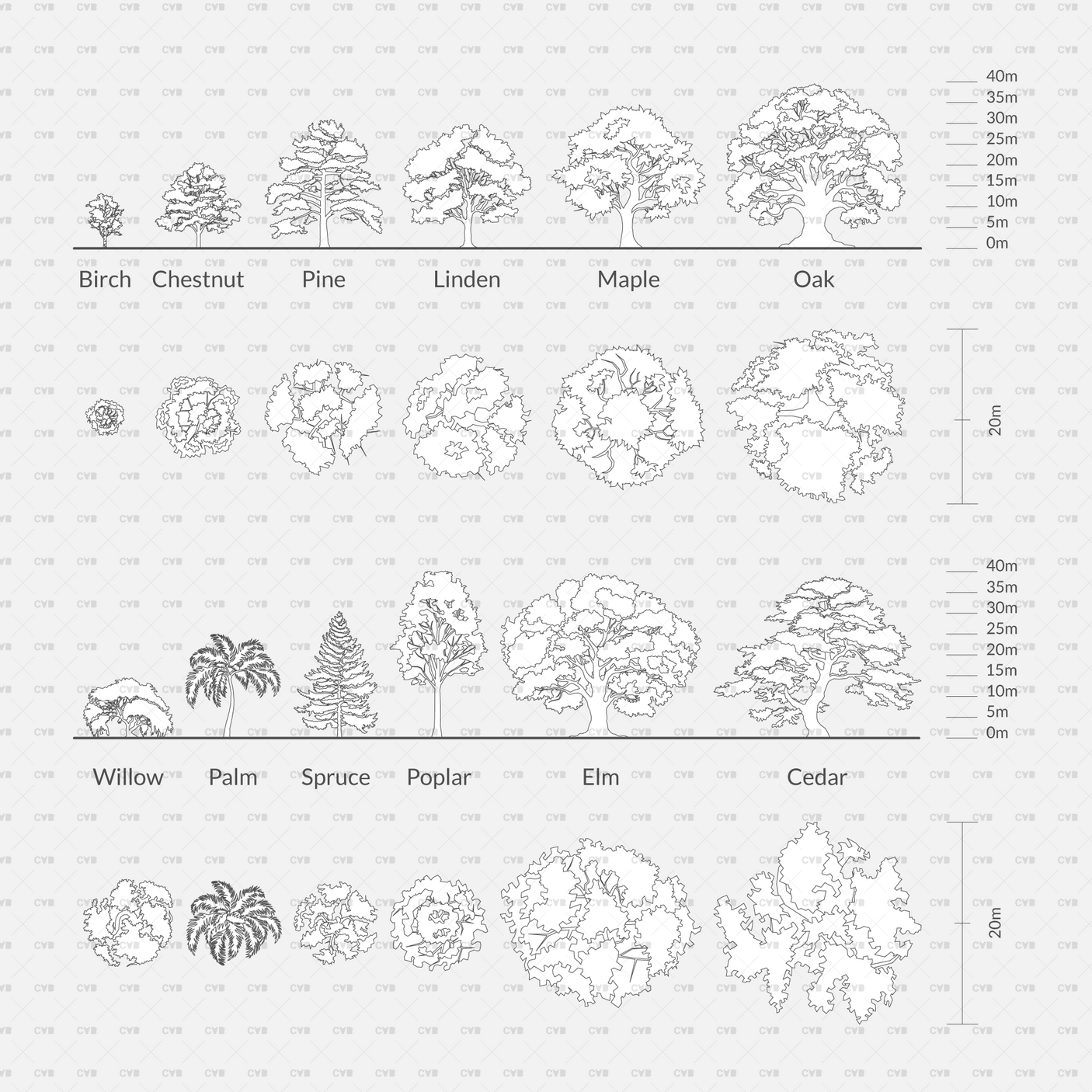 CAD Common Trees