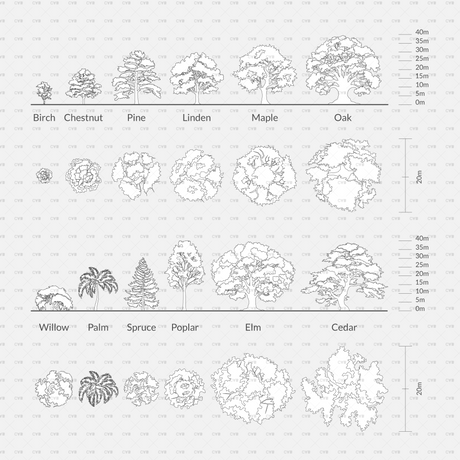 CAD Common Trees