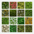 Seamless Moss Textures Free Download