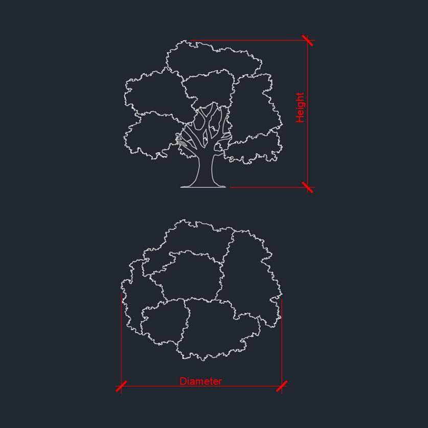 Download DYNAMIC CAD Trees BLOCKS | CADasBuilt – cadasbuilt