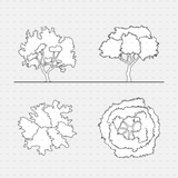 CAD Dynamic blocks southern european trees CADasbuilt BIM Blocks dwg elevation and plan trees; irregular and ringed canopy