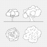CAD Dynamic blocks southern european trees CADasbuilt BIM Blocks dwg slender & spreading elevations, ringed clustered plans