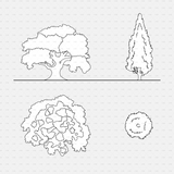 CAD Dynamic blocks southern european trees CADasbuilt BIM Blocks dwg spreading oak and tall cypress elevations; varied plans