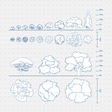 CAD Dynamic blocks southern european trees CADasbuilt BIM Blocks dwg blue sheet of tree elevations and plans with scale bars