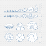 CAD Dynamic blocks southern european trees CADasbuilt BIM Blocks dwg blue sheet of tree elevations and plans with scale bars