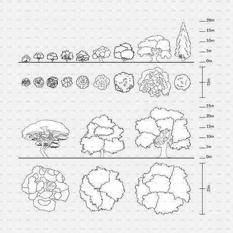CAD Dynamic blocks southern european trees CADasbuilt BIM Blocks dwg black sheet of tree elevations and plans with scales