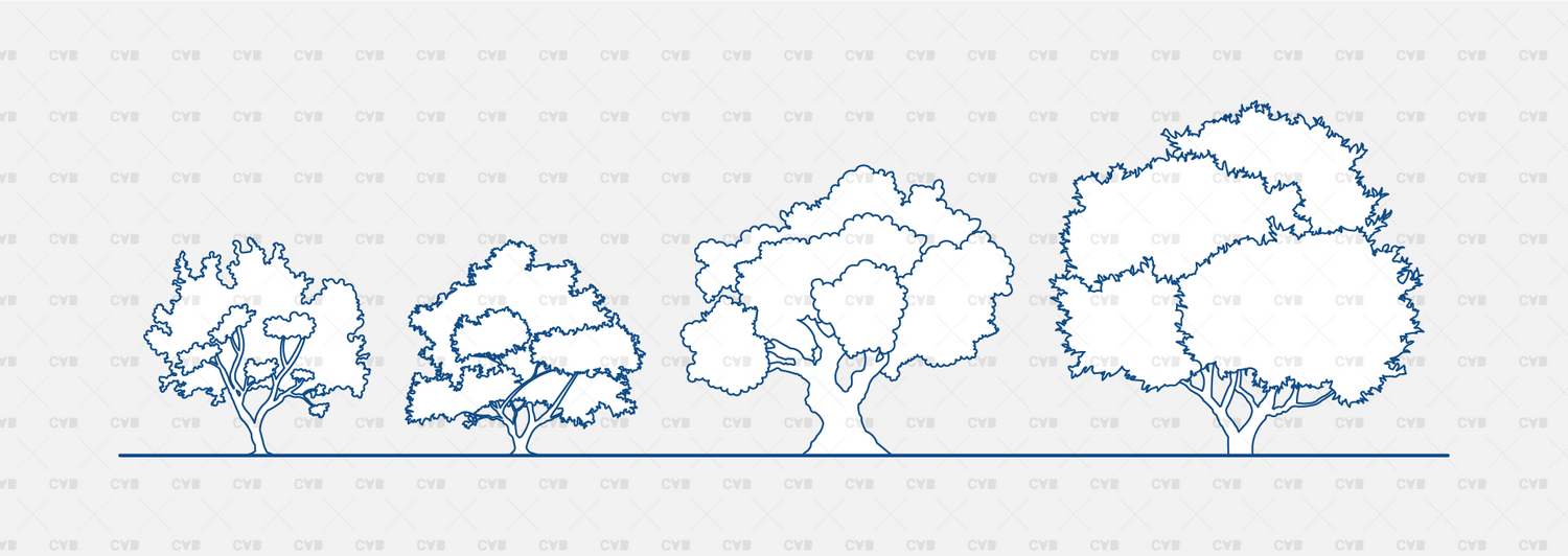 Download DYNAMIC CAD Trees BLOCKS | CADasBuilt – cadasbuilt