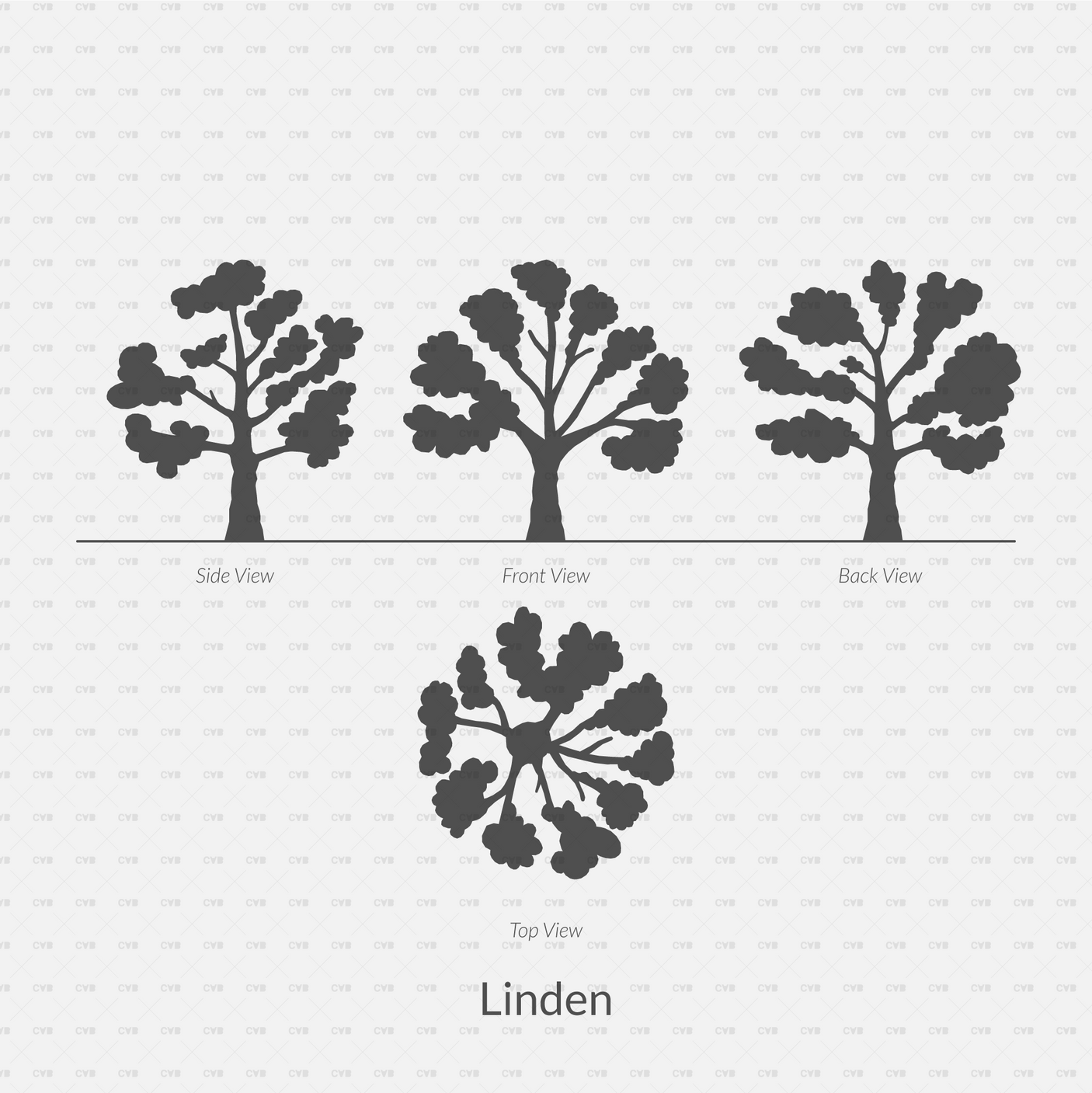 CAD Dynamic Blocks and Vector Common Trees Silhouettes download dwg ai svg elevation top view side front back linden