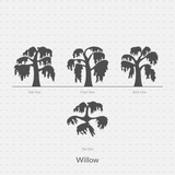 CAD Dynamic Blocks and Vector Common Trees Silhouettes download dwg ai svg elevation top view side front back willow