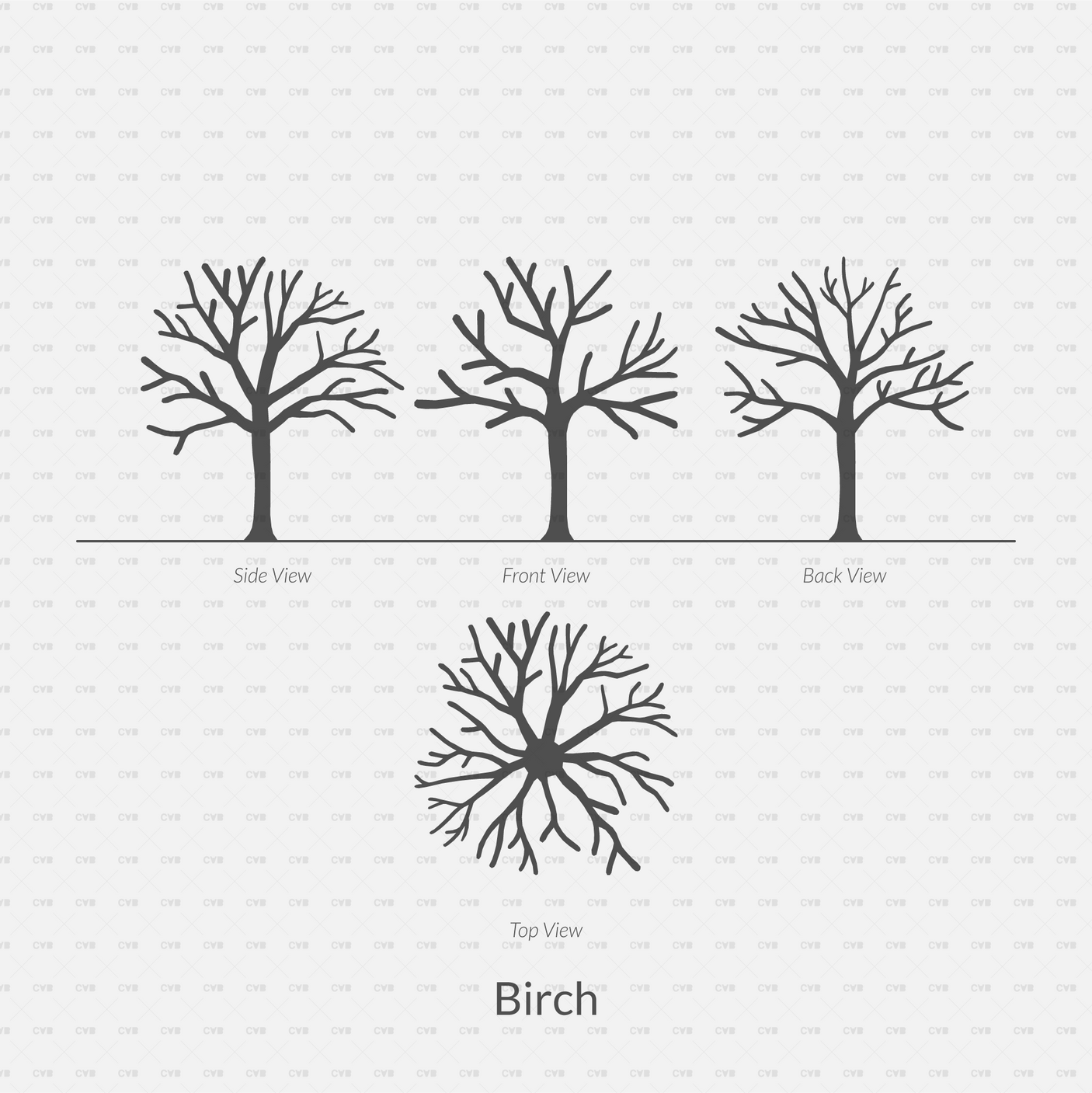 CAD Dynamic Blocks and Vector Common Trees Silhouettes download dwg ai svg elevation top view side front back birch